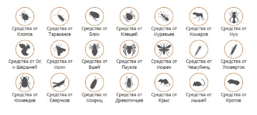 Интернет-магазин МосДезСпецТорг средства от грызунов и насекомых. Москва