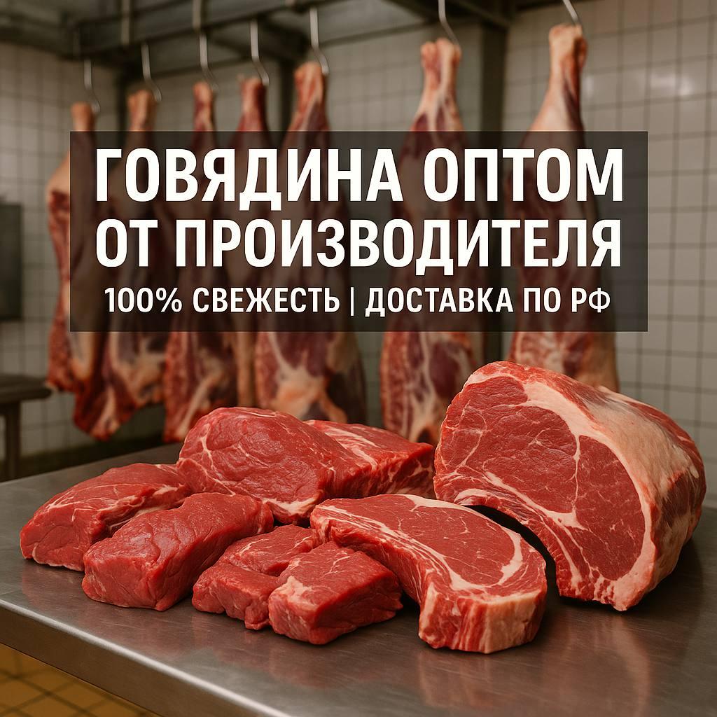 Оптовая продажа мяса говядины. Хакасия