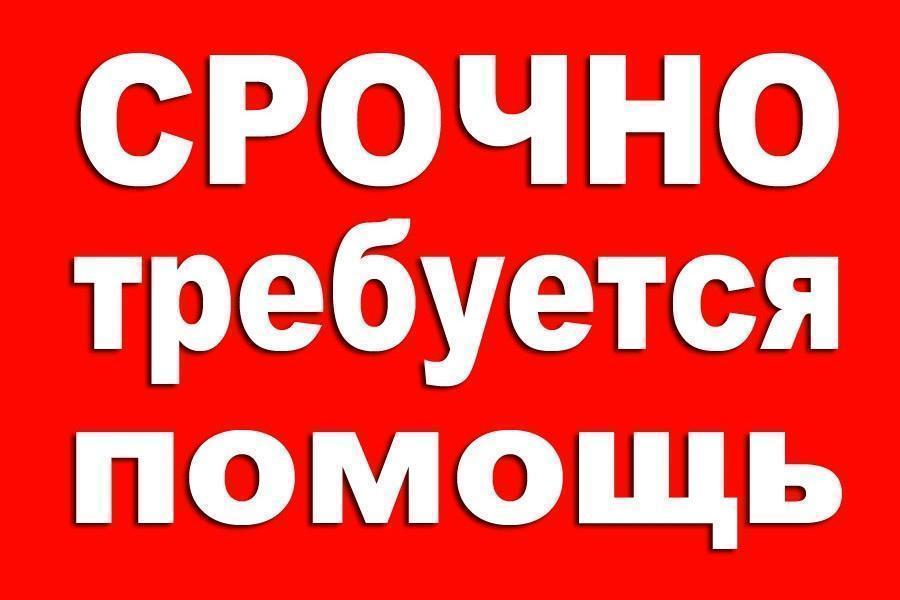 Помощь на сво рф детям в зоне военных действий. Краснодарский край