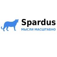 Spardus Team - Web-аналитика и SEO-оптимизация. Москва