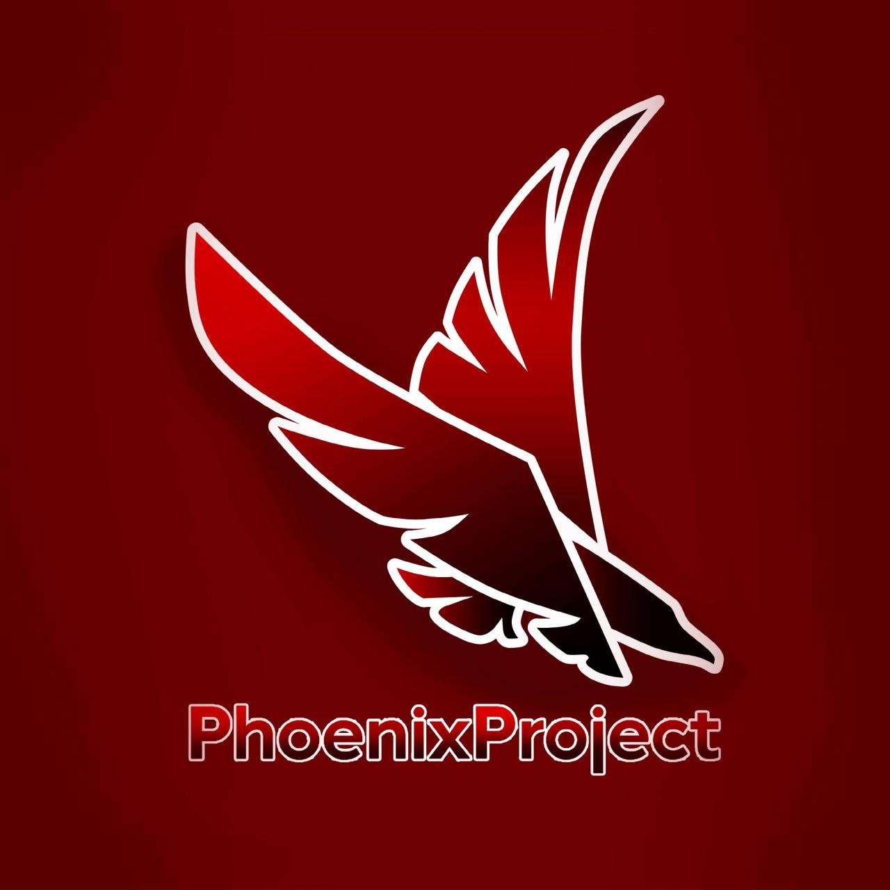 Phoenix Project SEO продвижение. Адыгея