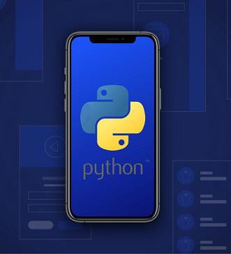 Курс по разработке приложений на языке Python. Москва