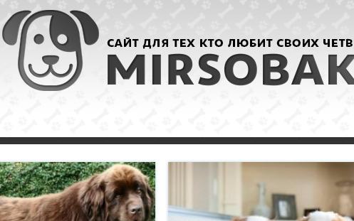 Информационный портал о собаках. Москва